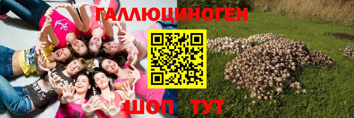 Крымск  Галлюциногенные грибы Magic Shrooms  Галлюциногенные грибы ЛСД  Вход с VPN 